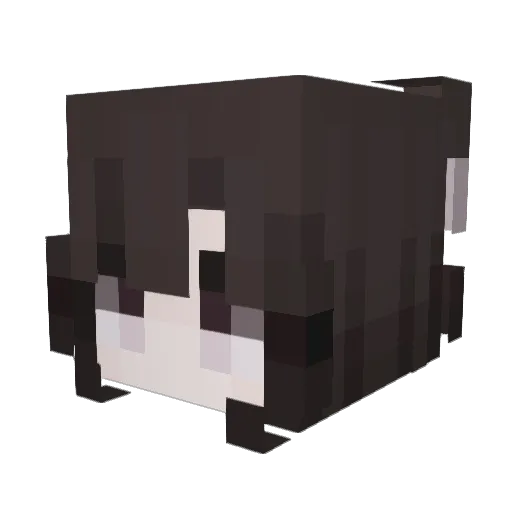 pawchuli Minecraft avatar head, 3D render