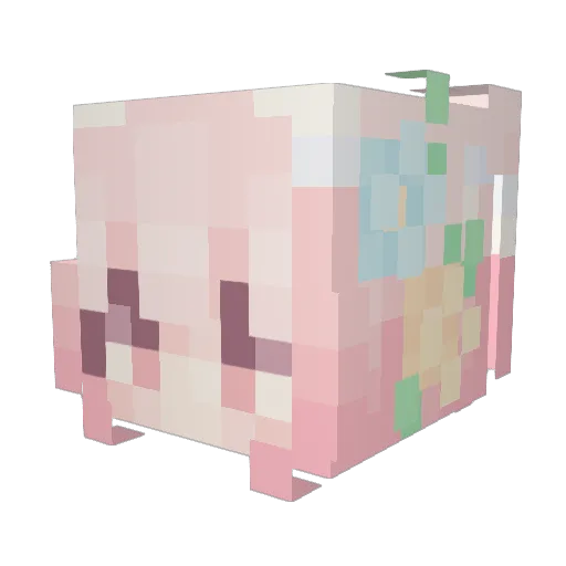 pawchyyy Minecraft avatar head, 3D render