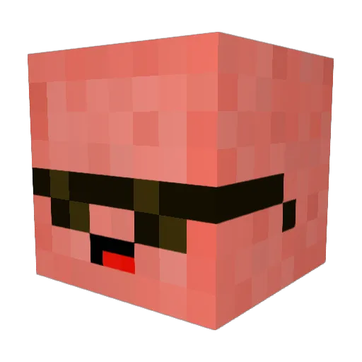 pawci0_0 Minecraft avatar head, 3D render