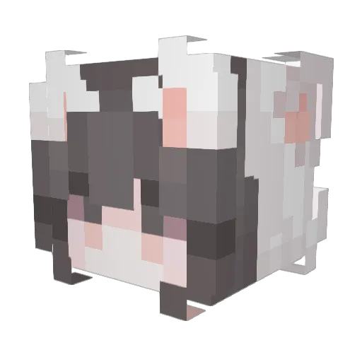 pawlya Minecraft avatar head, 3D render