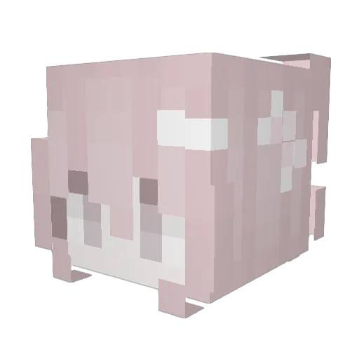 pawre Minecraft avatar head, 3D render