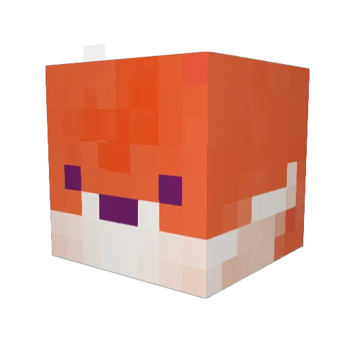 paws_button_ Minecraft avatar head, 3D render