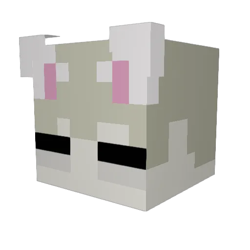 pawsinyojaws Minecraft avatar head, 3D render