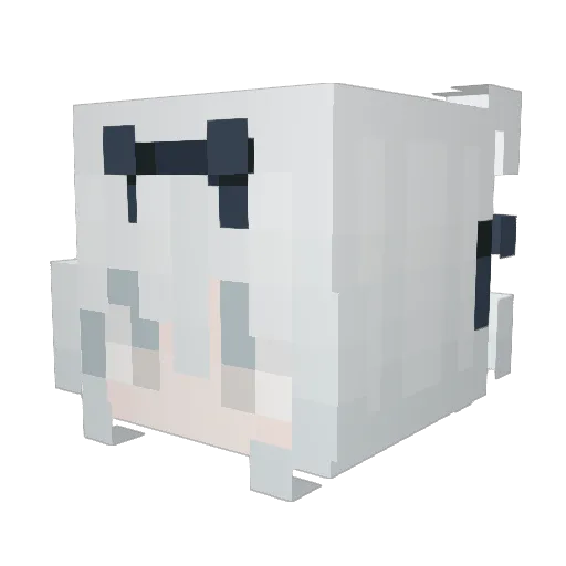 pawslita Minecraft avatar head, 3D render