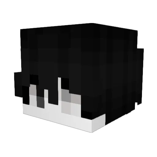 pawsome19 Minecraft avatar head, 3D render