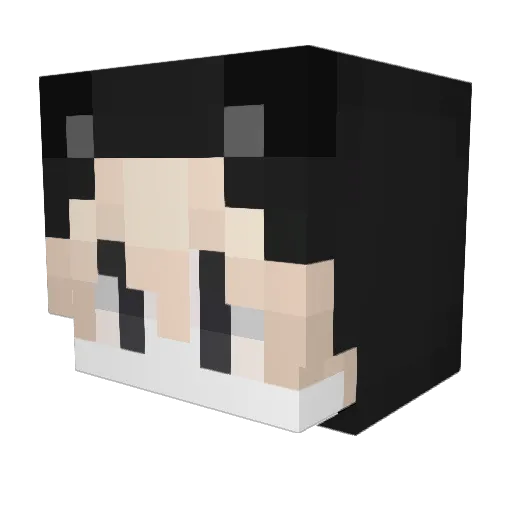 pawssocksenjoyer Minecraft avatar head, 3D render