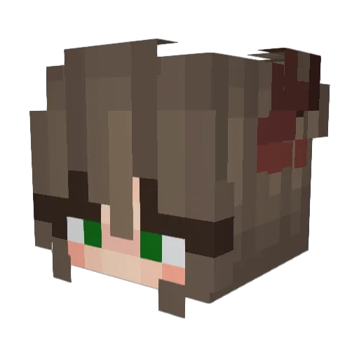 pawsssss Minecraft avatar head, 3D render