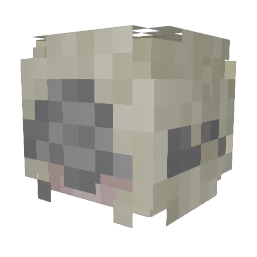 pawssum Minecraft avatar head, 3D render