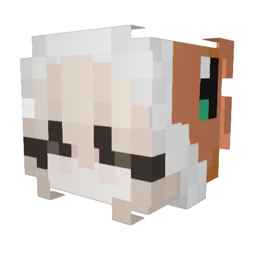 pawtopsi Minecraft avatar head, 3D render
