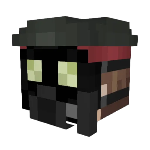 paxi18 Minecraft avatar head, 3D render