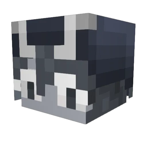 paxus1 Minecraft avatar head, 3D render