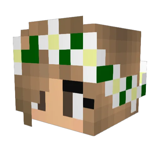 pay_friends Minecraft avatar head, 3D render