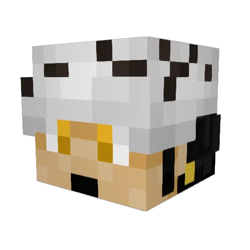 payaanapple Minecraft avatar head, 3D render
