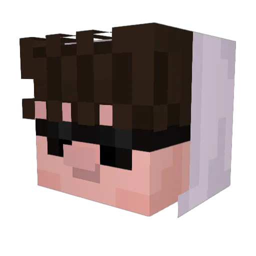 paydaytoday Minecraft avatar head, 3D render