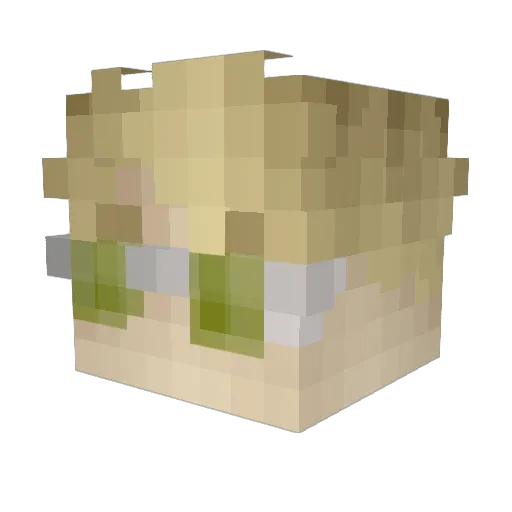 paydebt Minecraft avatar head, 3D render