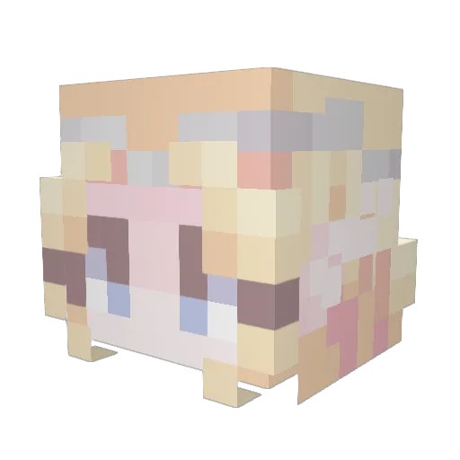 payjacks Minecraft avatar head, 3D render
