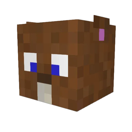 payne72nw Minecraft avatar head, 3D render