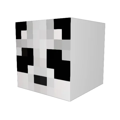 payno4 Minecraft avatar head, 3D render