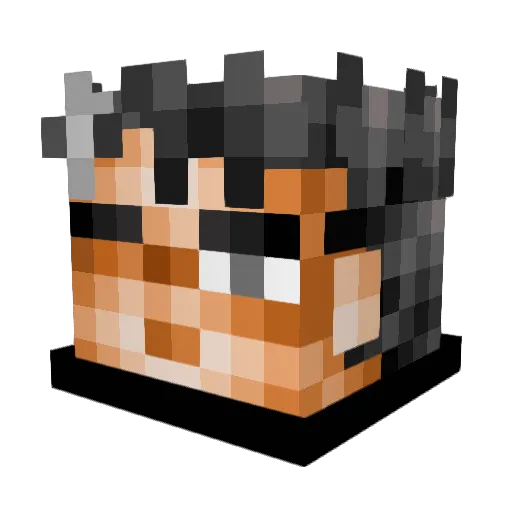 paynus Minecraft avatar head, 3D render