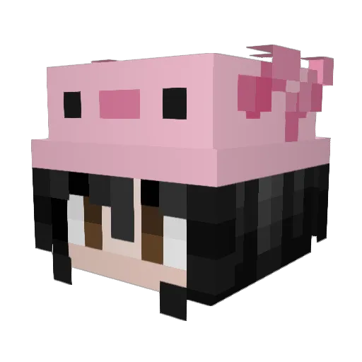 payohexe Minecraft avatar head, 3D render