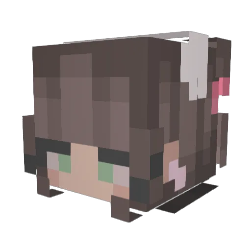 payshence1 Minecraft avatar head, 3D render
