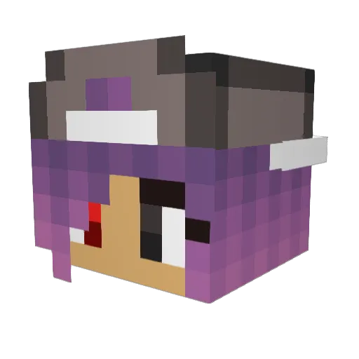 payt0nn Minecraft avatar head, 3D render