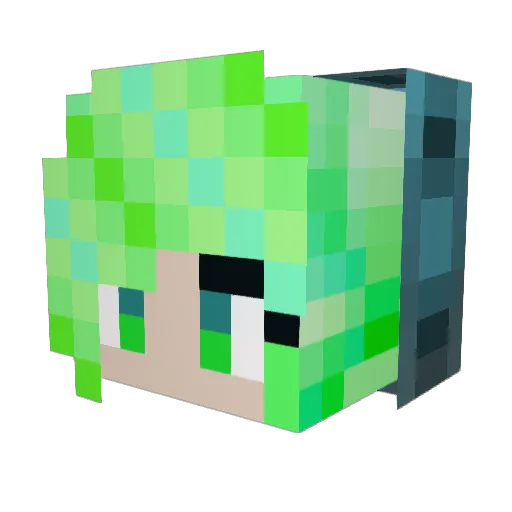 payton123546pt Minecraft avatar head, 3D render