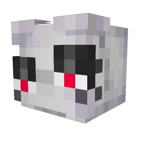 paytonverycool Minecraft avatar head, 3D render