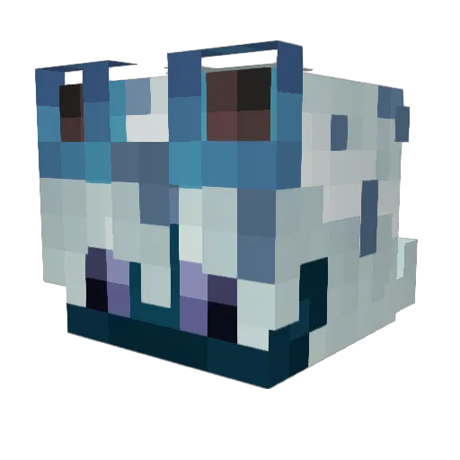 paytowinn Minecraft avatar head, 3D render