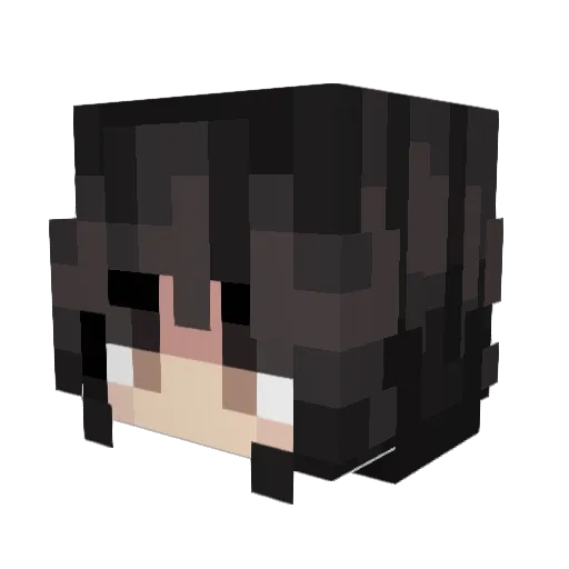 paytxxn Minecraft avatar head, 3D render