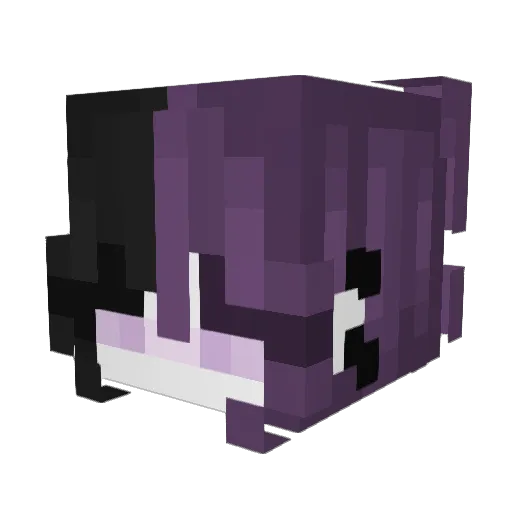 payyyton Minecraft avatar head, 3D render