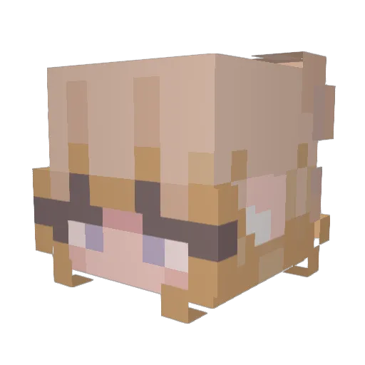 pb_cups Minecraft avatar head, 3D render