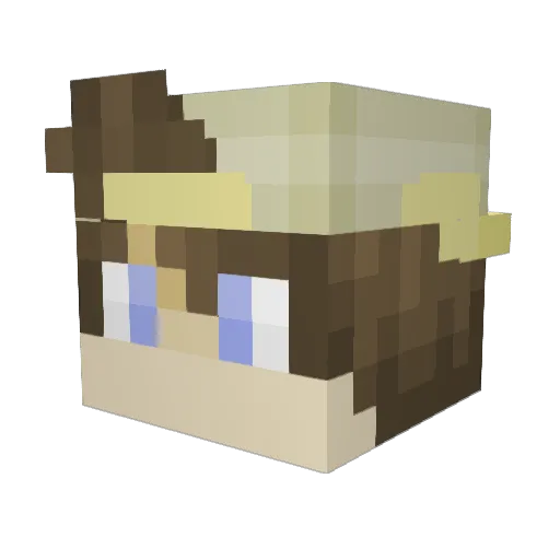 pbees Minecraft avatar head, 3D render
