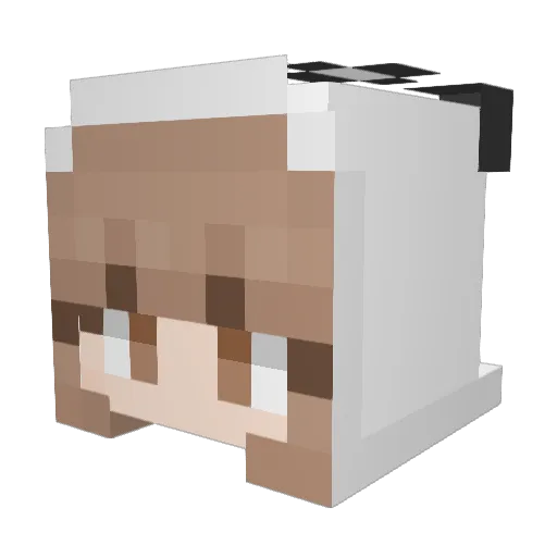 pbinx Minecraft avatar head, 3D render