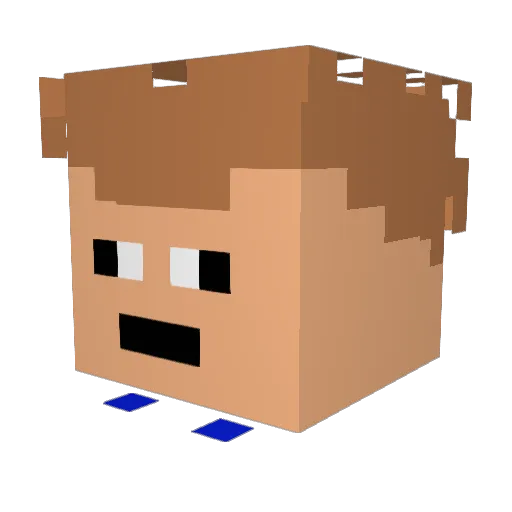 pbjbat21 Minecraft avatar head, 3D render