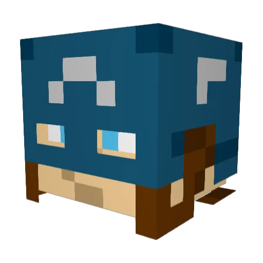 pblaster1337 Minecraft avatar head, 3D render