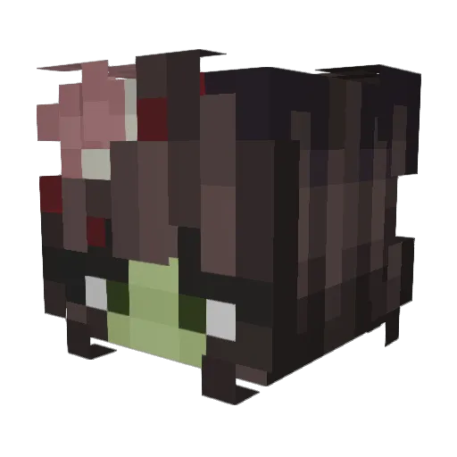 pbnjeliii Minecraft avatar head, 3D render