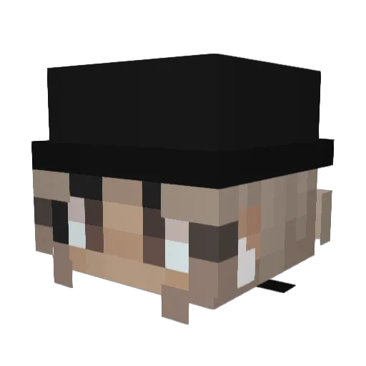 pbrann Minecraft avatar head, 3D render