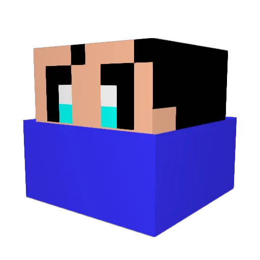 pcgamer1200 Minecraft avatar head, 3D render