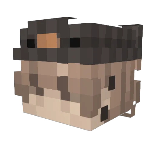 pcho9 Minecraft avatar head, 3D render