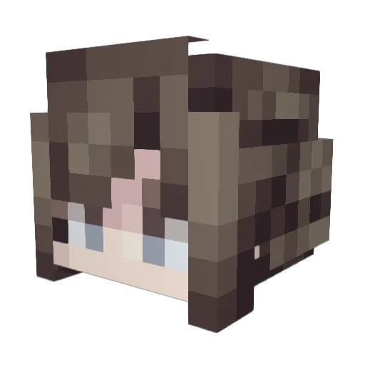 pcjjos Minecraft avatar head, 3D render