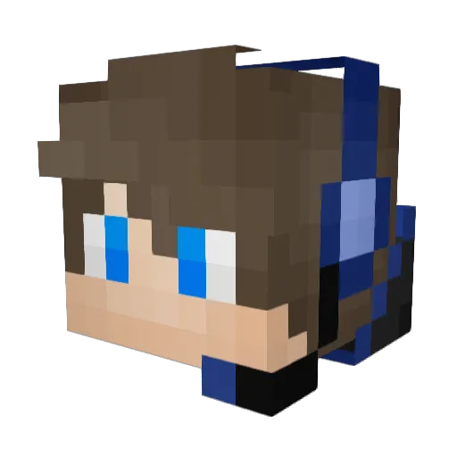 pcturtleX Minecraft avatar head, 3D render