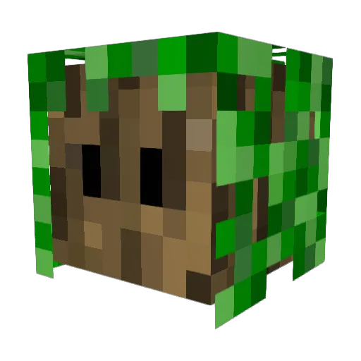 pcverkatu Minecraft avatar head, 3D render