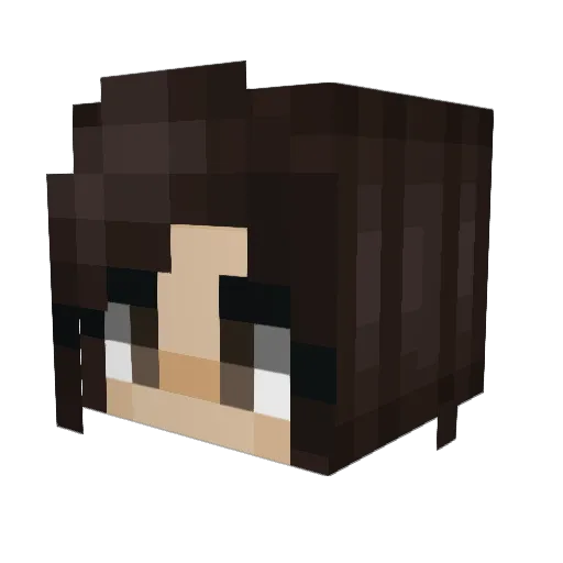 pdan20 Minecraft avatar head, 3D render
