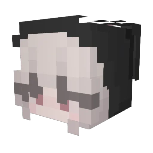 pdddcat Minecraft avatar head, 3D render