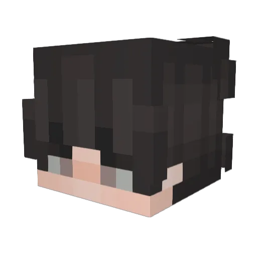 pdhello Minecraft avatar head, 3D render