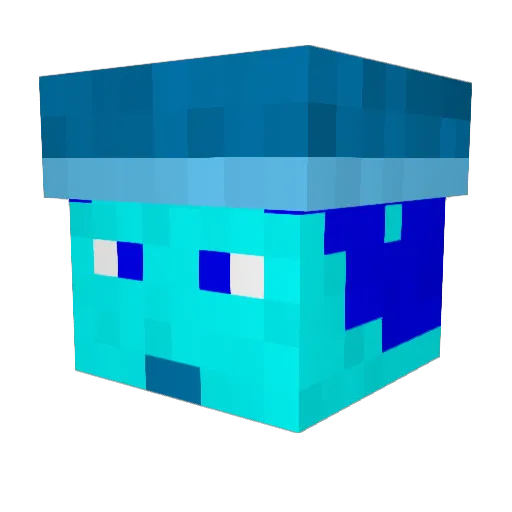 pdm505 Minecraft avatar head, 3D render