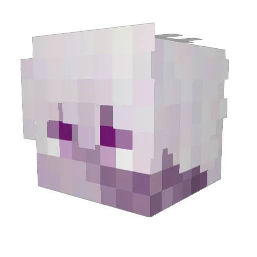 pdroqt Minecraft avatar head, 3D render