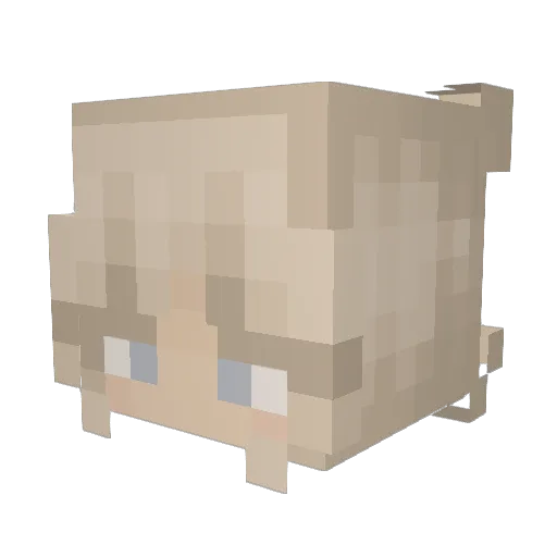 pe1bo Minecraft avatar head, 3D render