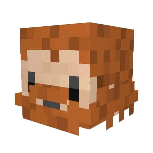 pe3ak Minecraft avatar head, 3D render